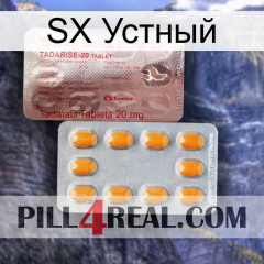 SX Устный new13